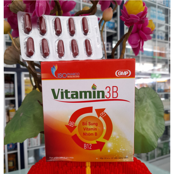 vitamin3b1